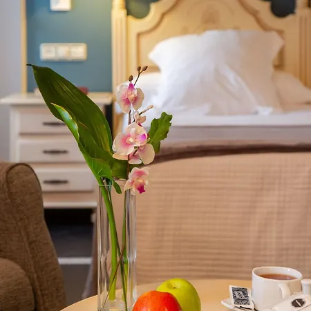 Hotel Palacio De La Vinona 4*