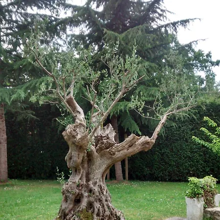 Hotel Palacio De La Vinona Oviedo
