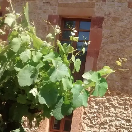 Palacio De La Vinona 4*