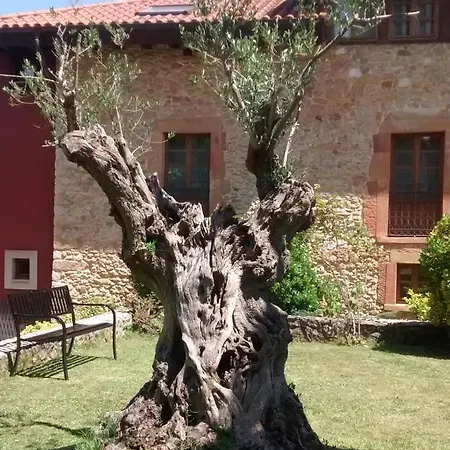 Palacio De La Vinona