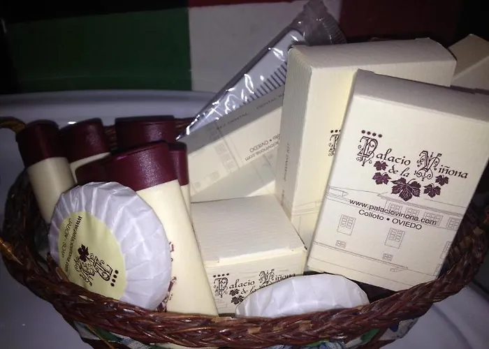 Palacio De La Vinona 4*