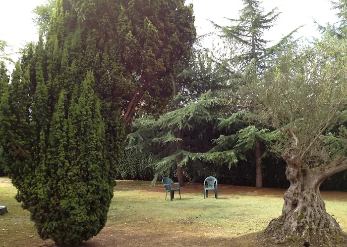 Palacio De La Vinona Hotel