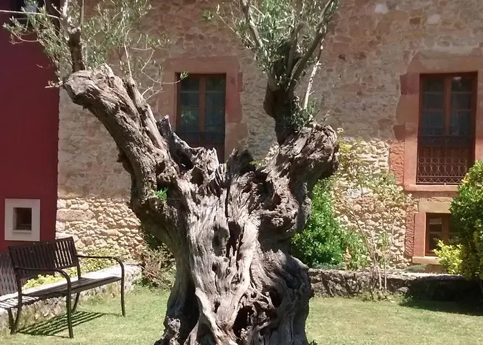 Palacio De La Vinona Hotel