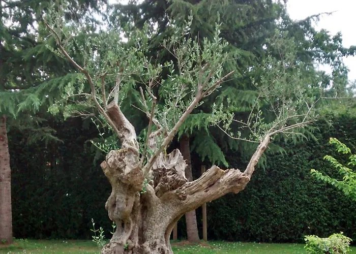 Hotel Palacio De La Vinona Oviédo