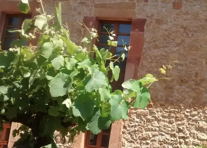 Palacio De La Vinona 4*